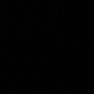 Meet your Posher, Shawnyyy